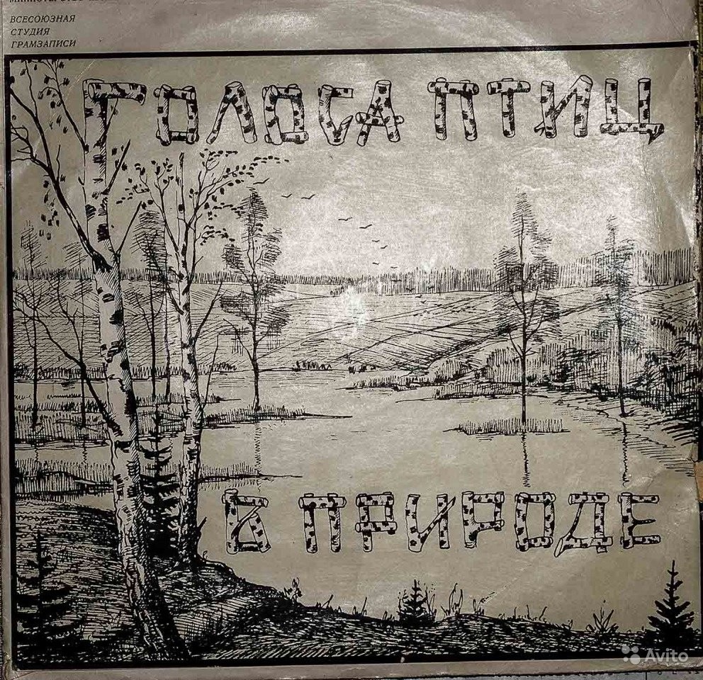 ГОЛОСА ПТИЦ В ПРИРОДЕ (1 серия)