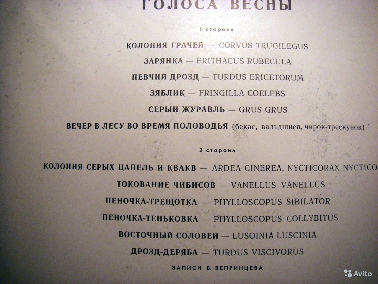 ГОЛОСА ВЕСНЫ  (записи пения и голосов птиц)