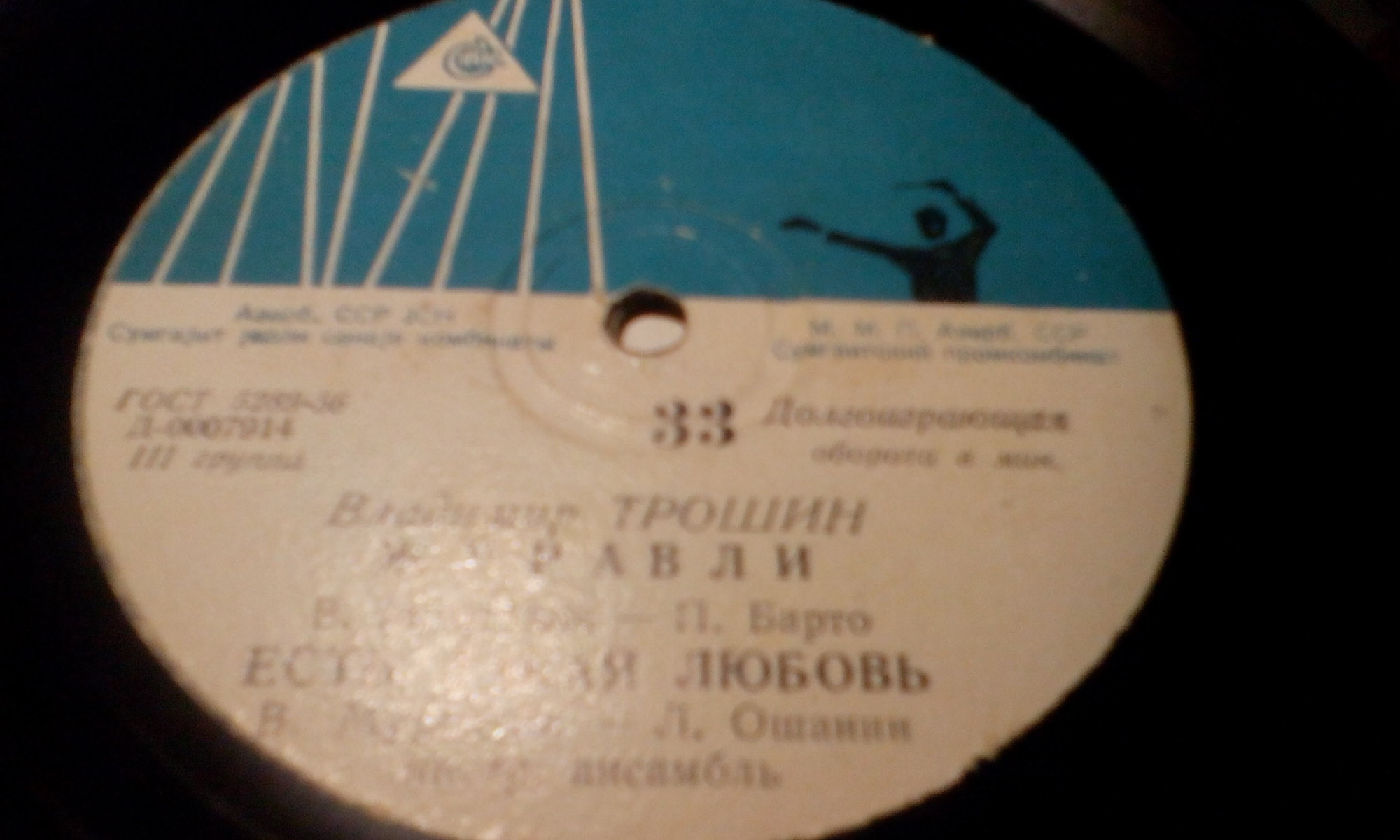 Поет Владимир Трошин