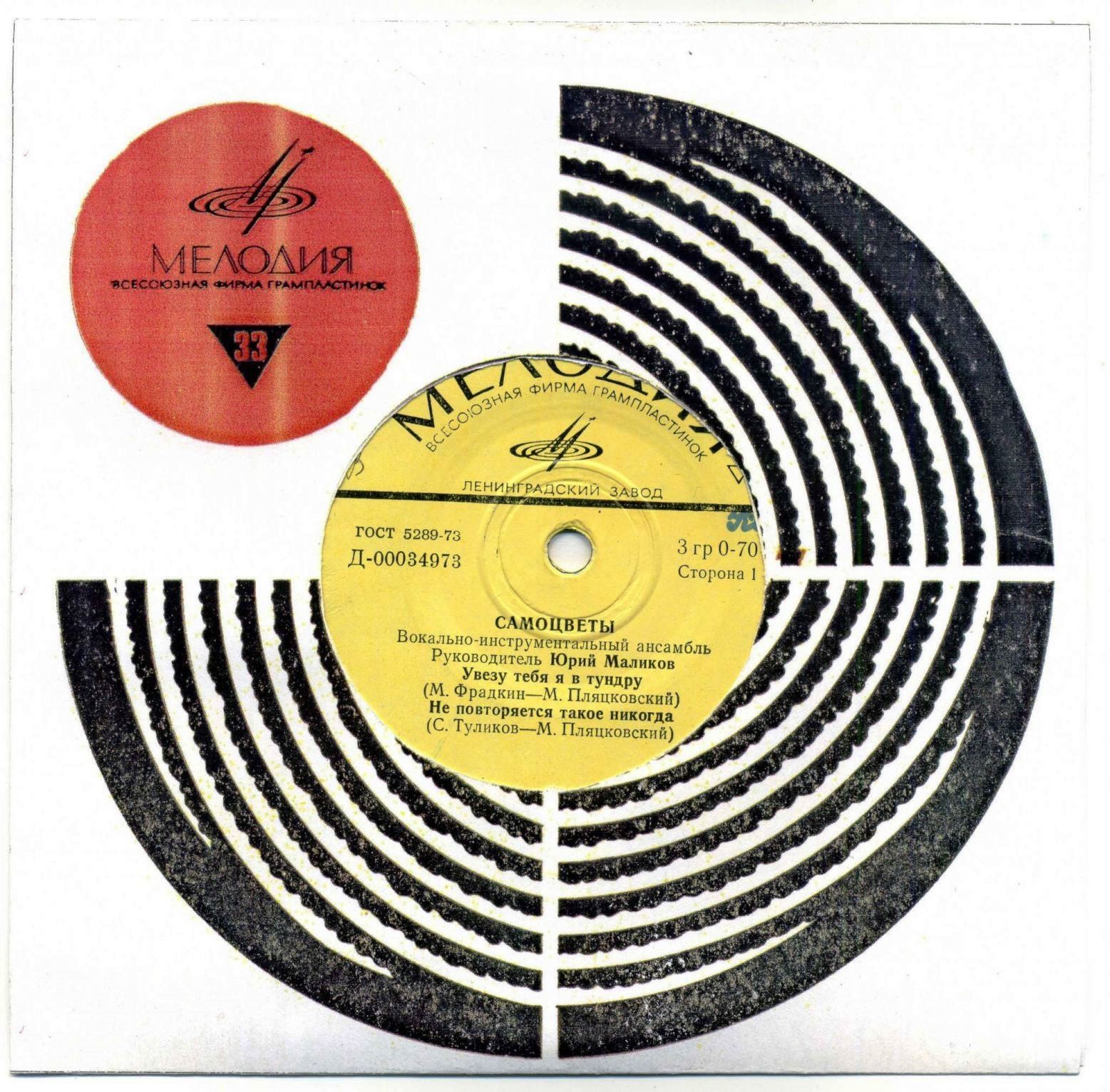 ВИА "САМОЦВЕТЫ". Руководитель Юрий Маликов