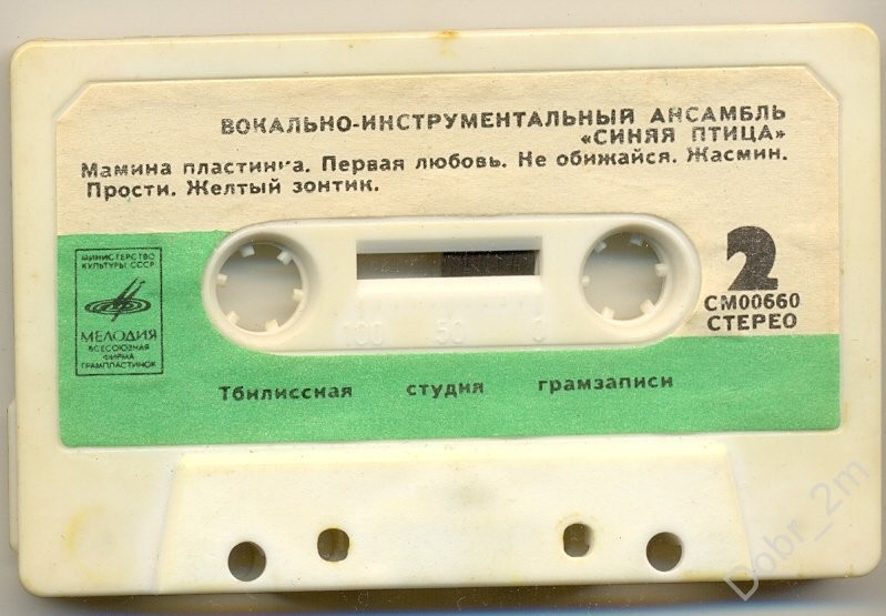 Вокально-инструментальный ансамбль "Синяя птица"