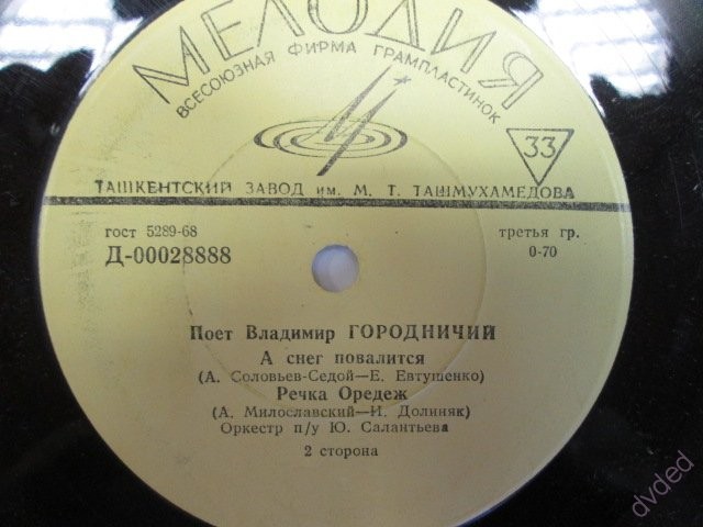 Поёт Владимир Городничий