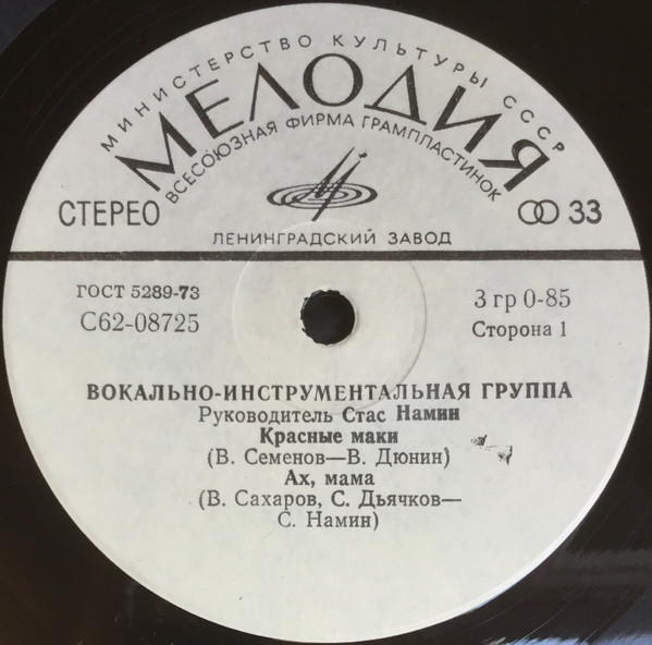 Вокально-инструментальная группа. Руководитель Стас Намин