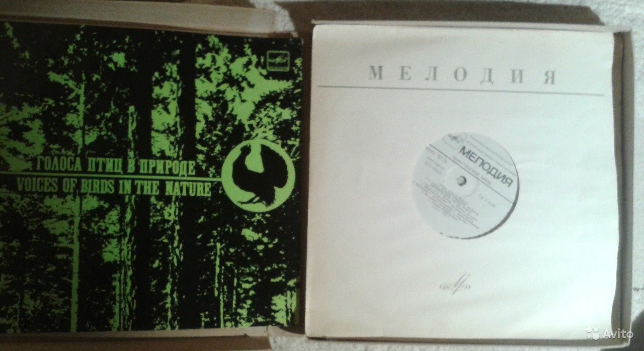 Голоса птиц в природе (5 пластинок)
