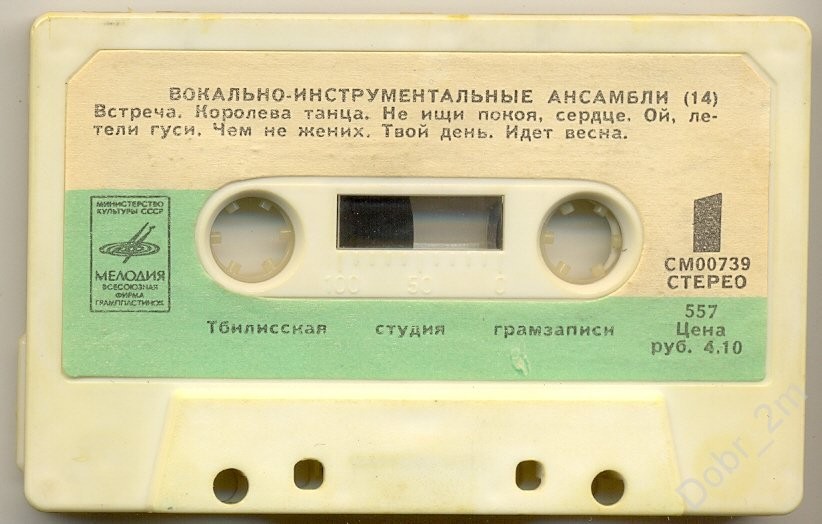 Вокально-инструментальные ансамбли (14)