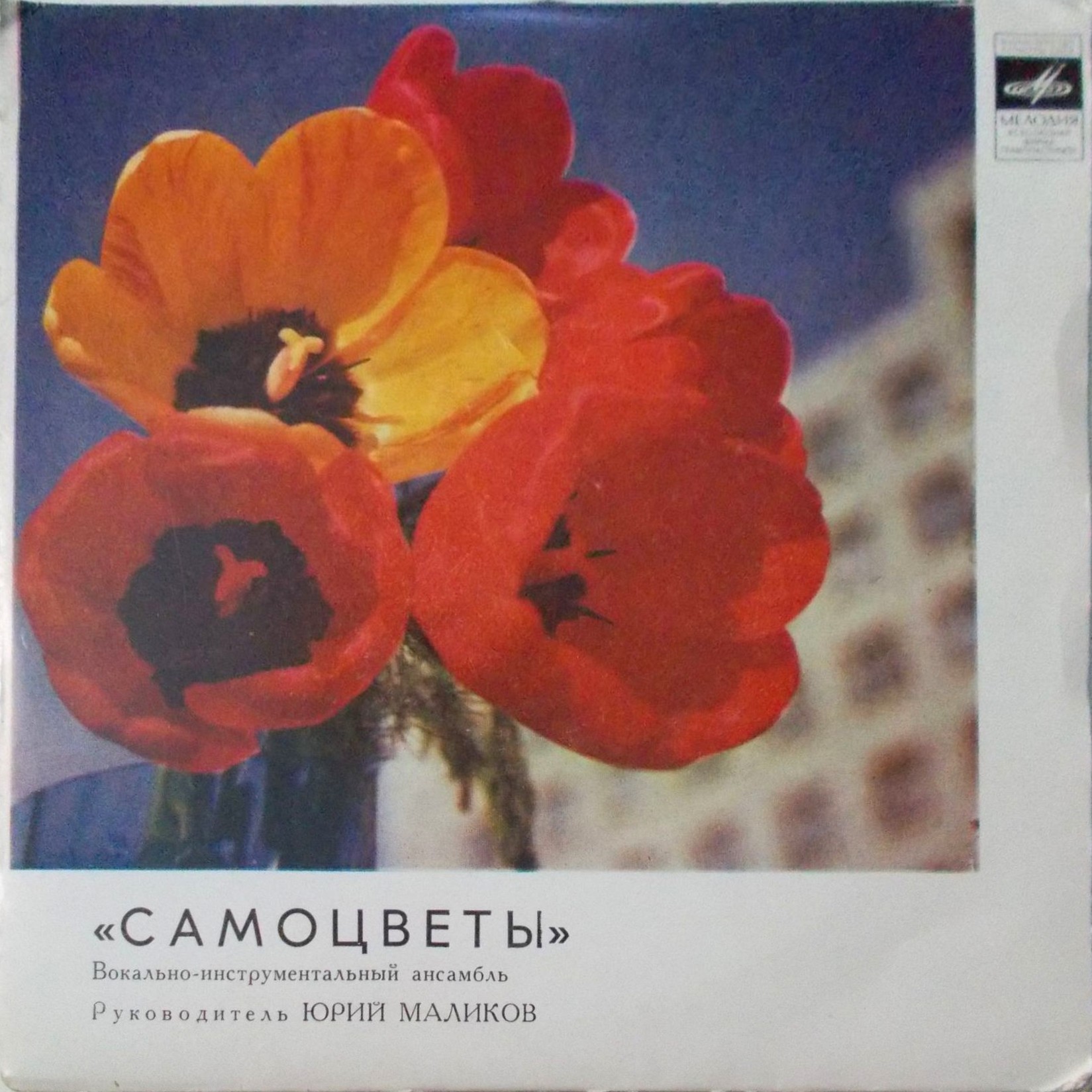 ВИА "САМОЦВЕТЫ", руководитель Юрий Маликов. «Все, что есть у меня»