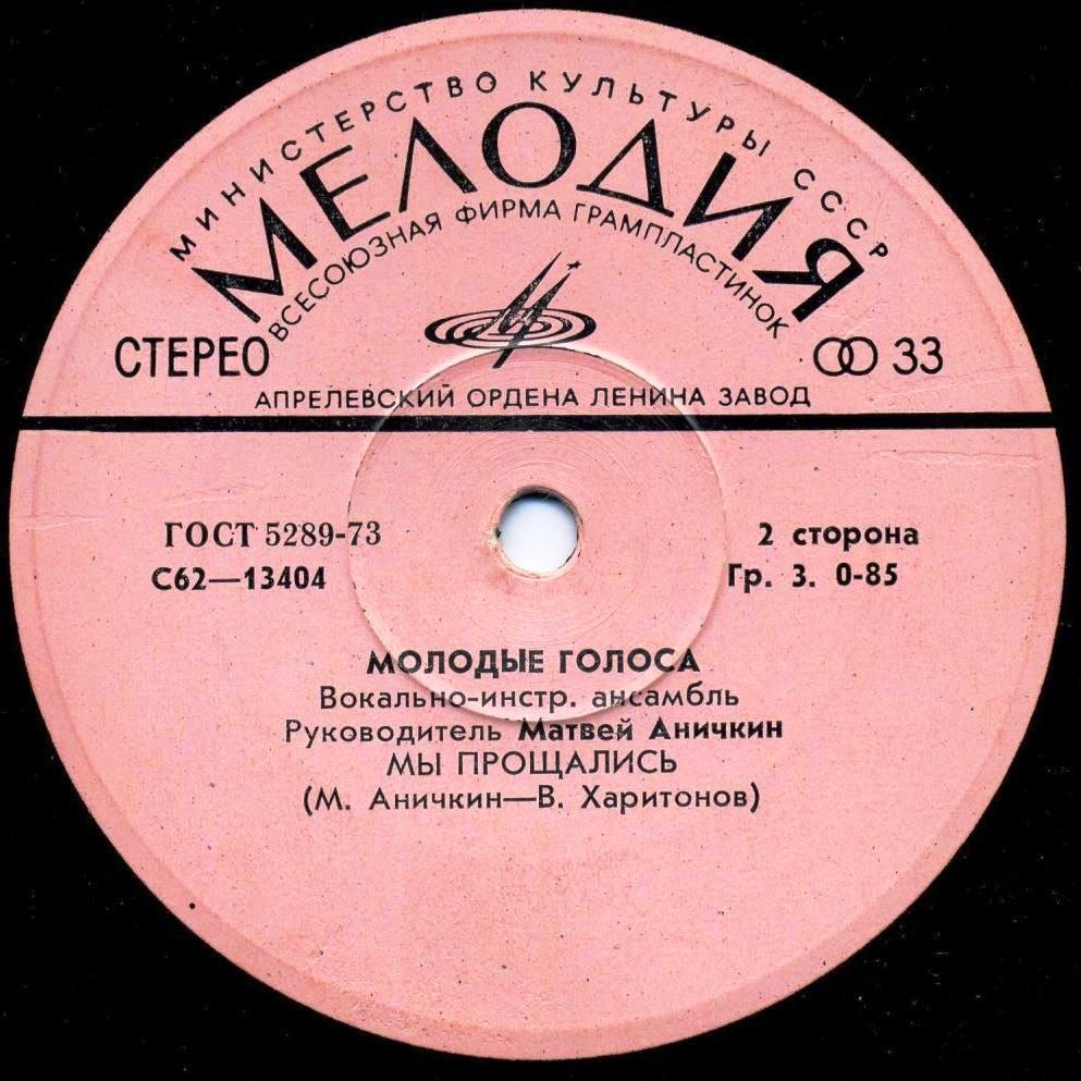 ВИА «МОЛОДЫЕ ГОЛОСА». Руководитель Матвей Аничкин