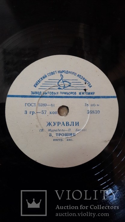 Владимир Трошин — Журавли / Есть такая любовь