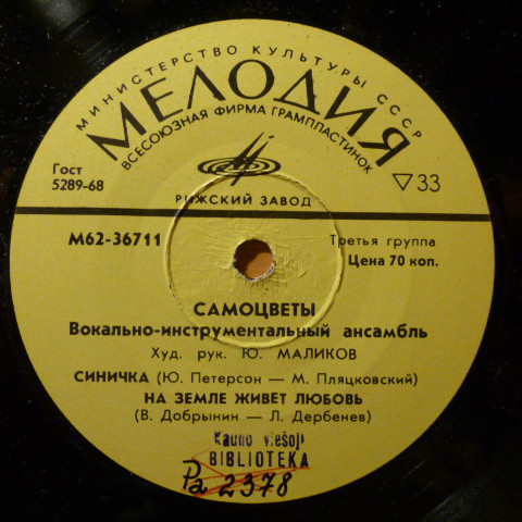 Вокально-инструментальный ансамбль "Самоцветы"