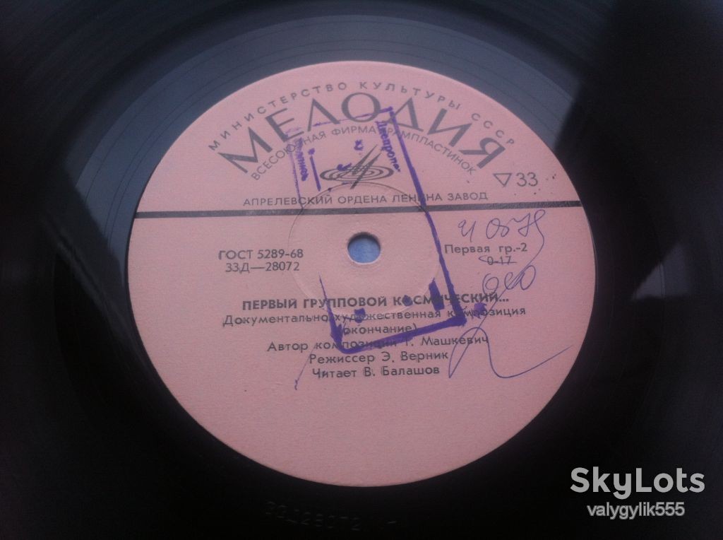 Первый групповой полет - Андриян Николаев, Павел Попович