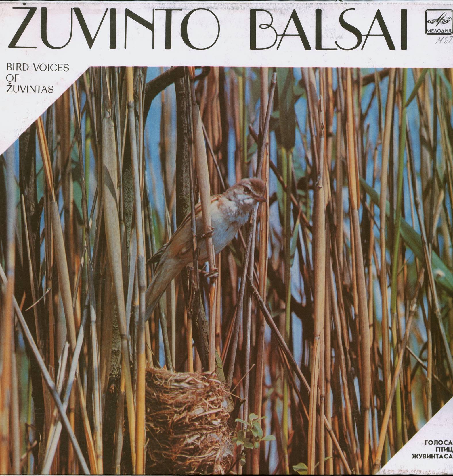 ГОЛОСА ПТИЦ ЖУВИНТАСА / Žuvinto balsai (Литовская ССР)