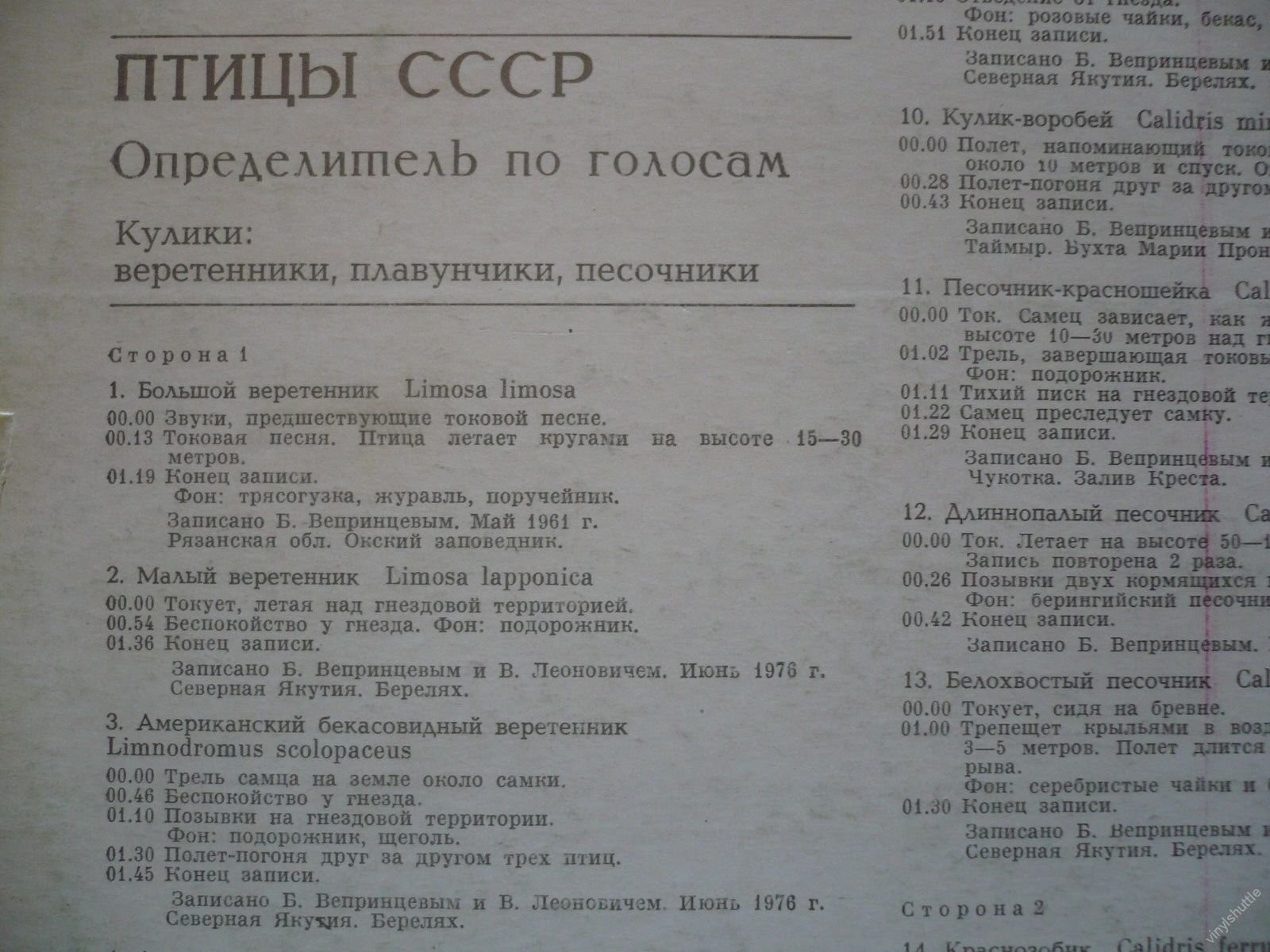 ПТИЦЫ СССР. Определитель по голосам (подготовлен Б. Вепринцевым).