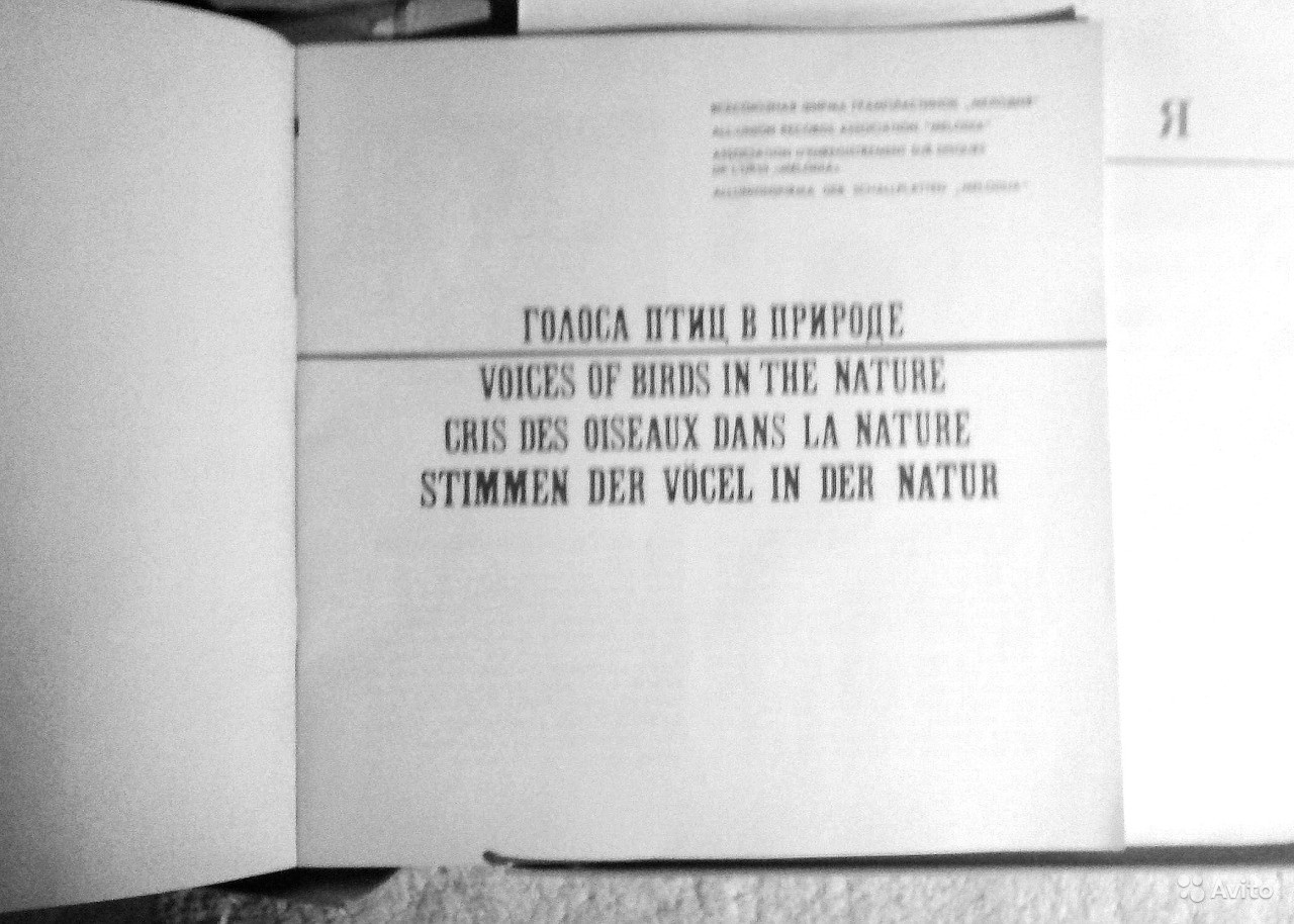 Голоса птиц в природе (5 пластинок)