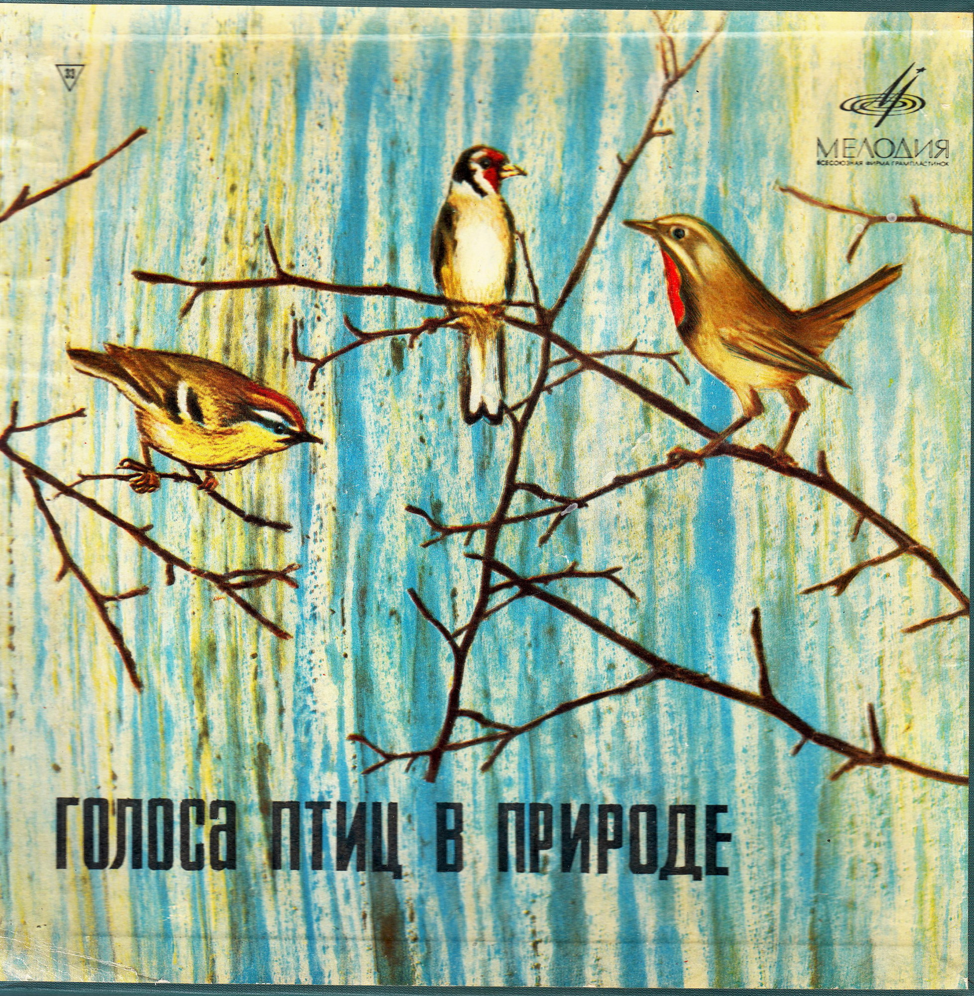 Голоса птиц в природе (5 пластинок)