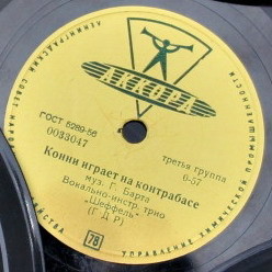 Трио «ШЕФФЕЛЬ»: Девушка грустит / Конни играет на контрабасе (на немецком языке)