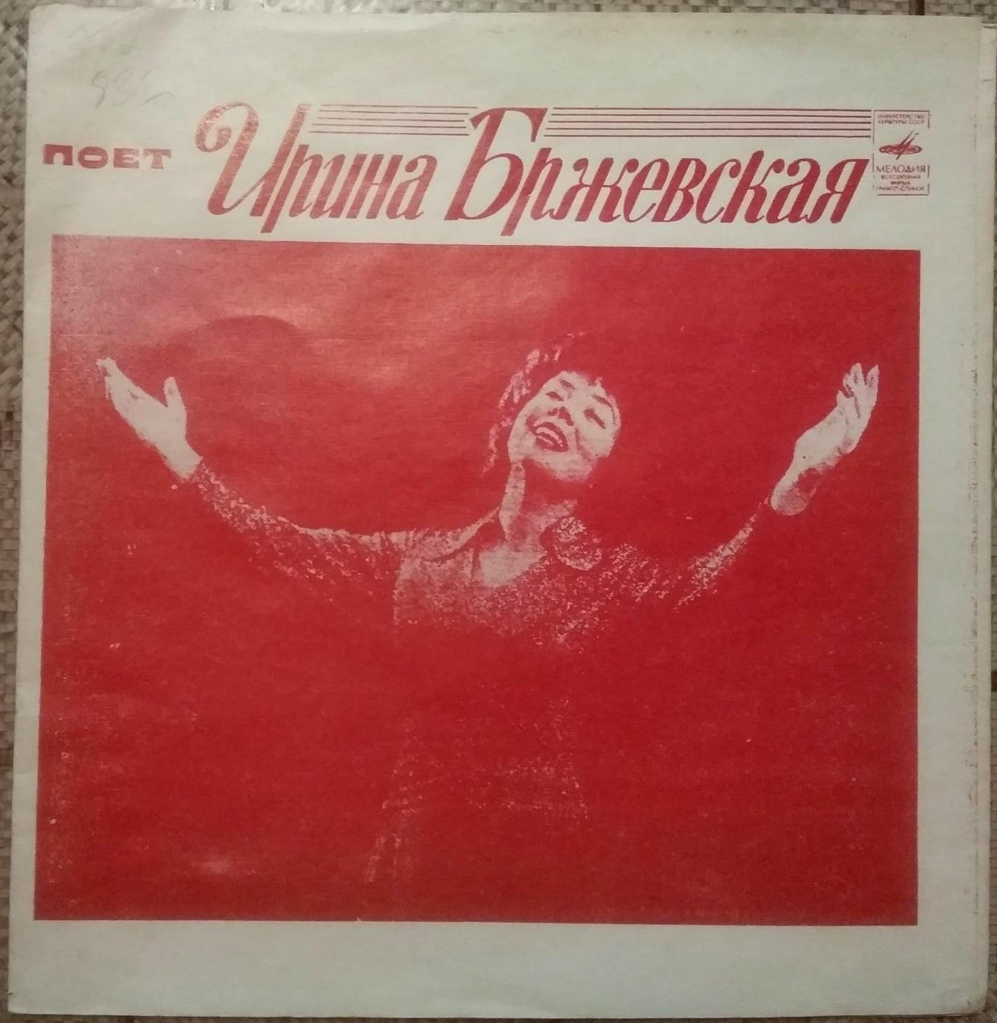 Ирина Бржевская