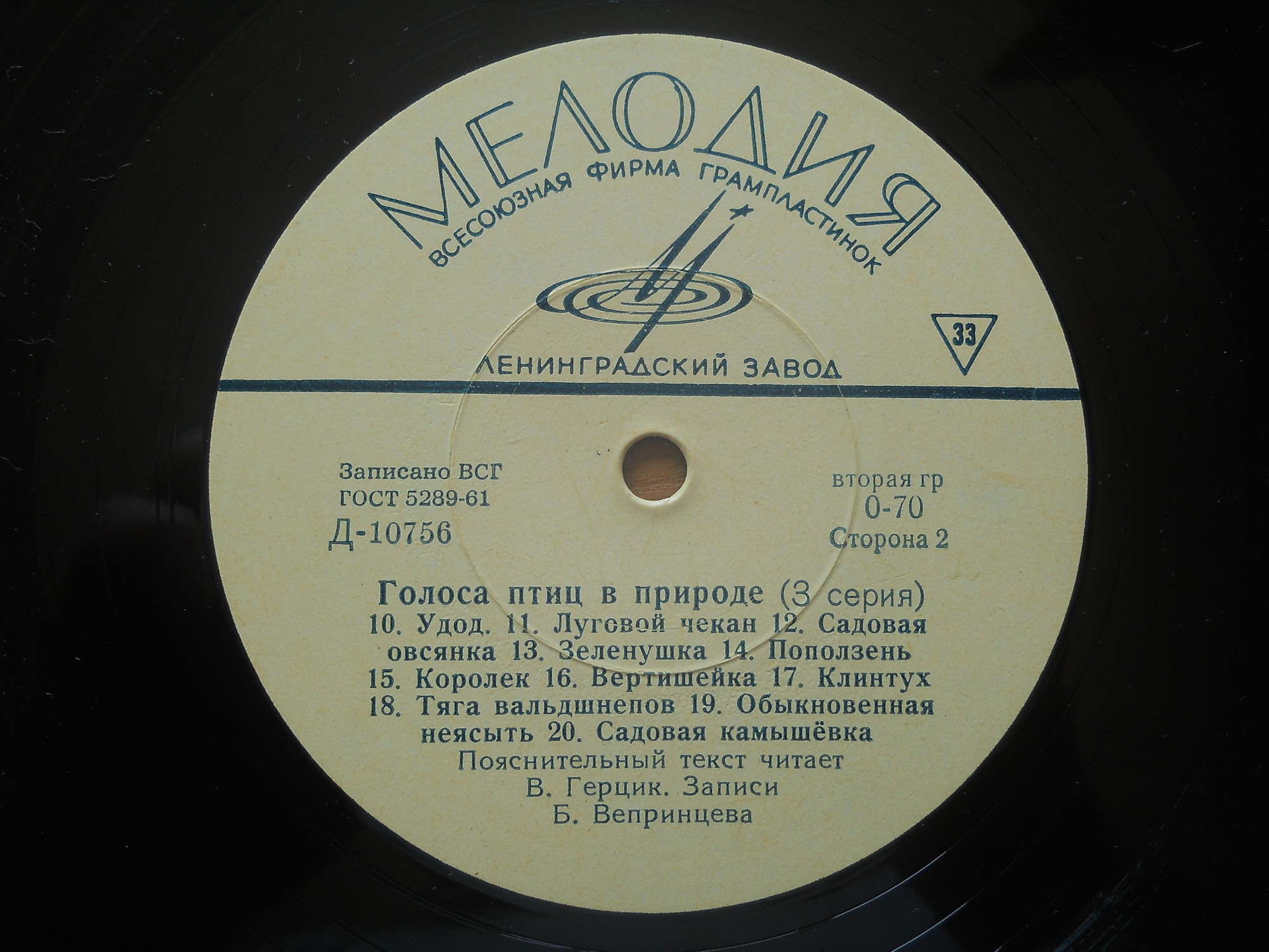 ГОЛОСА ПТИЦ В ПРИРОДЕ (3 серия)