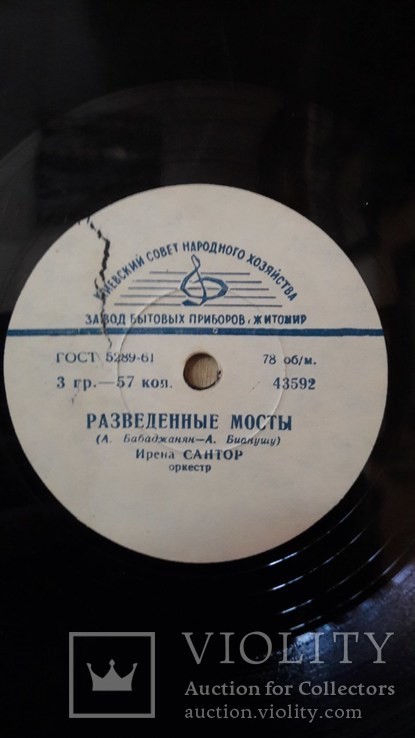 Ирена Сантор