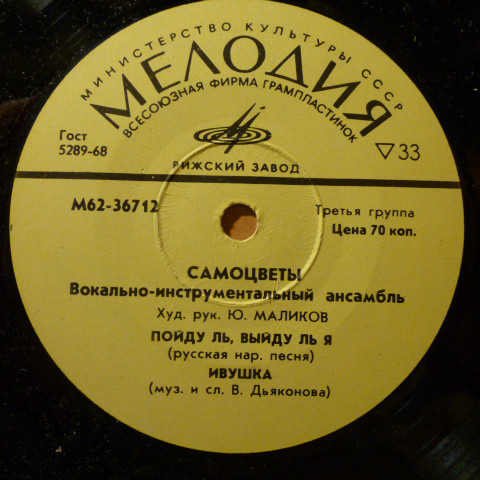 Вокально-инструментальный ансамбль "Самоцветы"