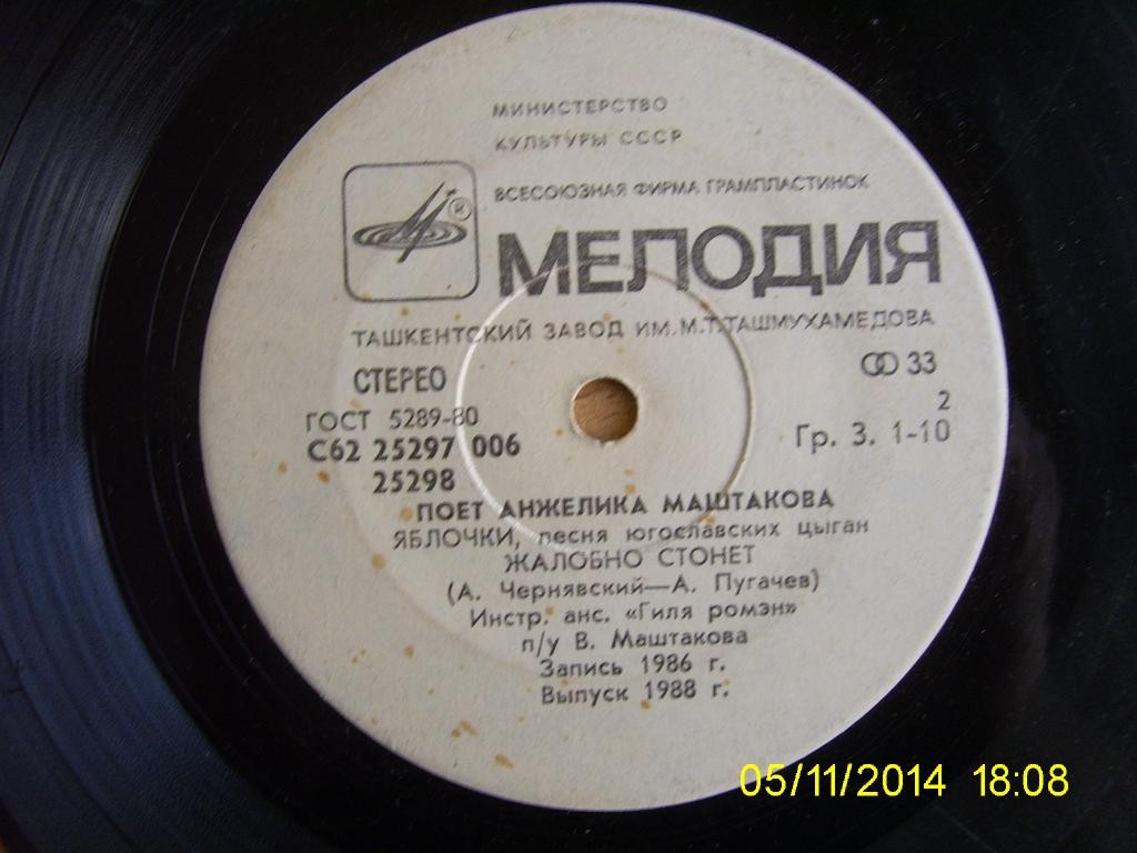 Поет Анжелика МАШТАКОВА