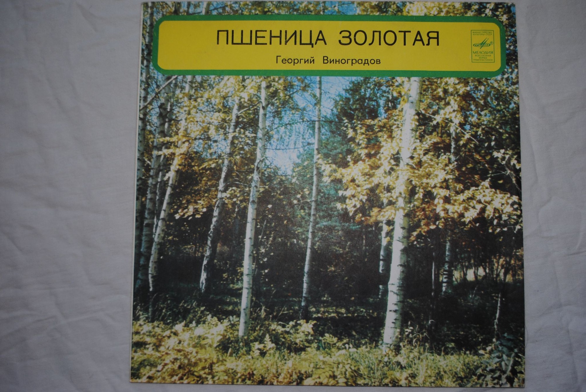 Георгий ВИНОГРАДОВ. «Пшеница золотая»