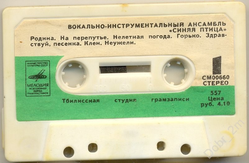 Вокально-инструментальный ансамбль "Синяя птица"