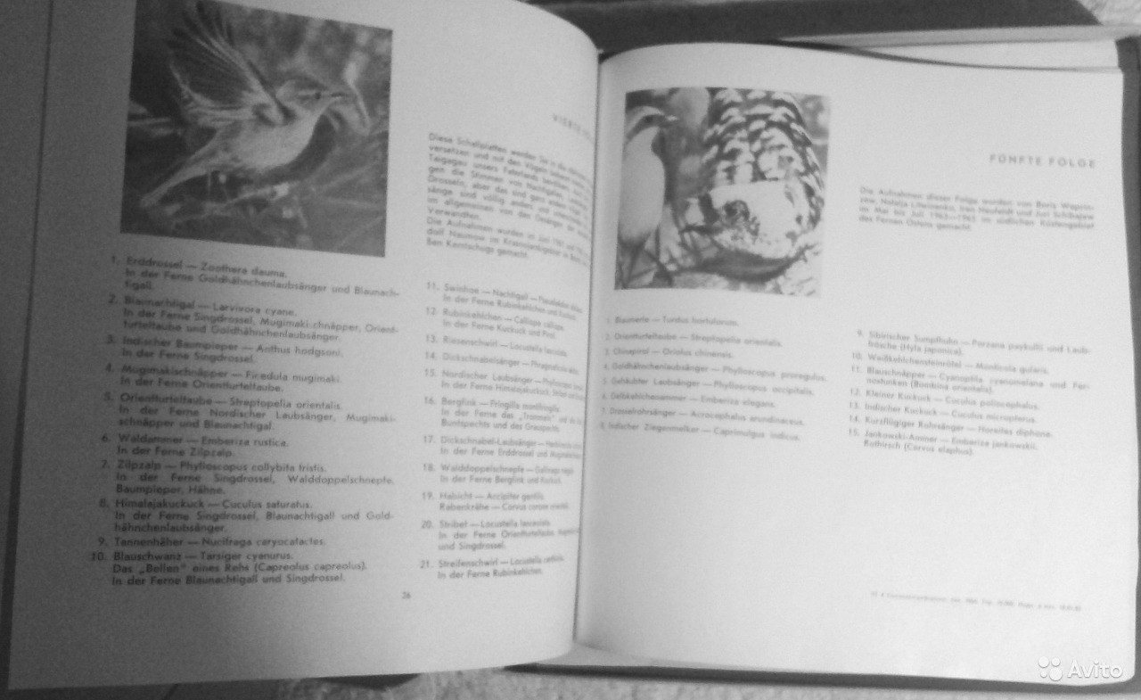 Голоса птиц в природе (5 пластинок)