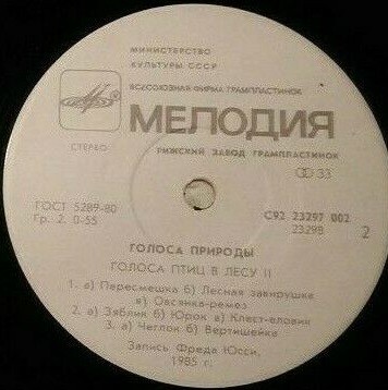 ГОЛОСА ПТИЦ В ЛЕСУ (II)
