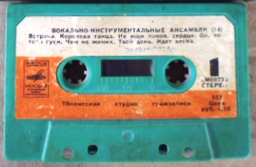 Вокально-инструментальные ансамбли (14)