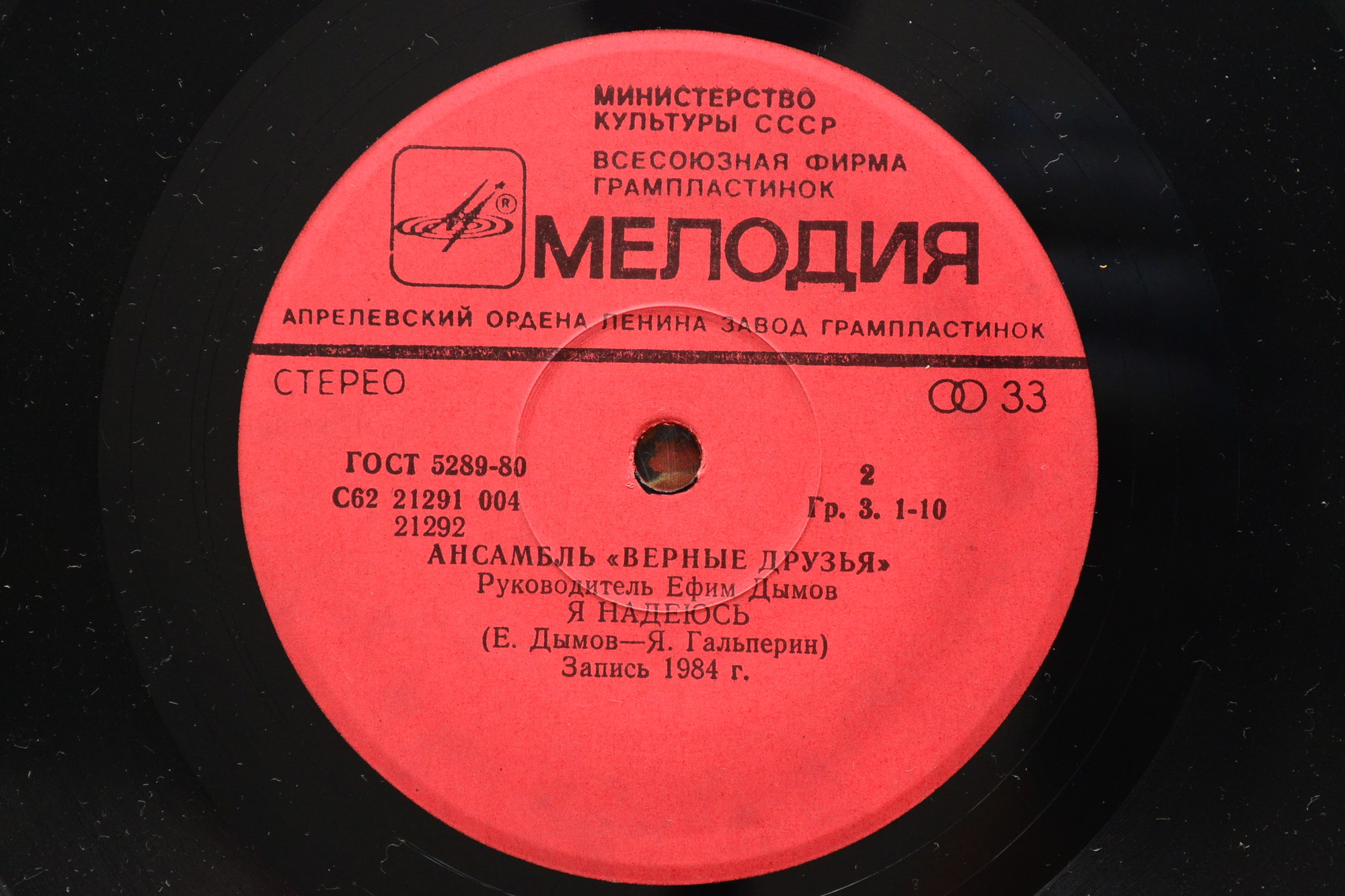«Я надеюсь». Ансамбль "ВЕРНЫЕ ДРУЗЬЯ", руководитель Ефим Дымов