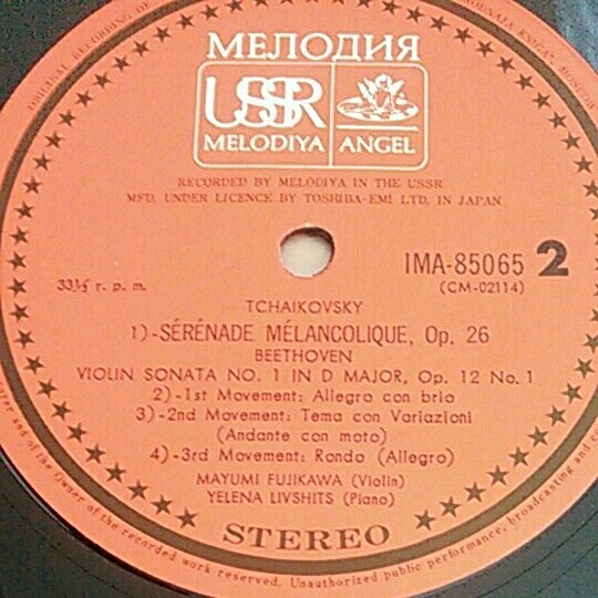 Маюми Фудзикава (скрипка)