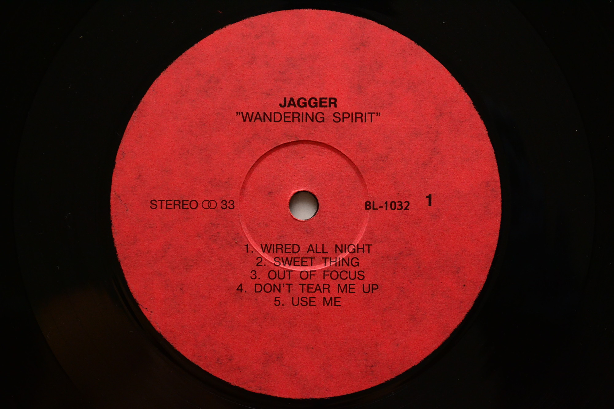 Mick Jagger. Wandering Spirit