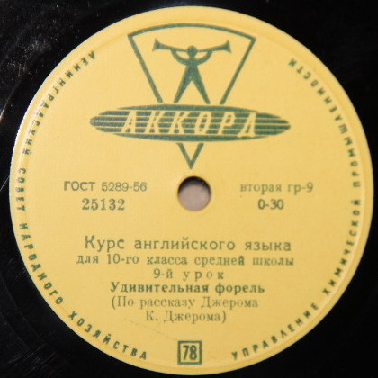 Курс английского языка для 10-го класса средней школы