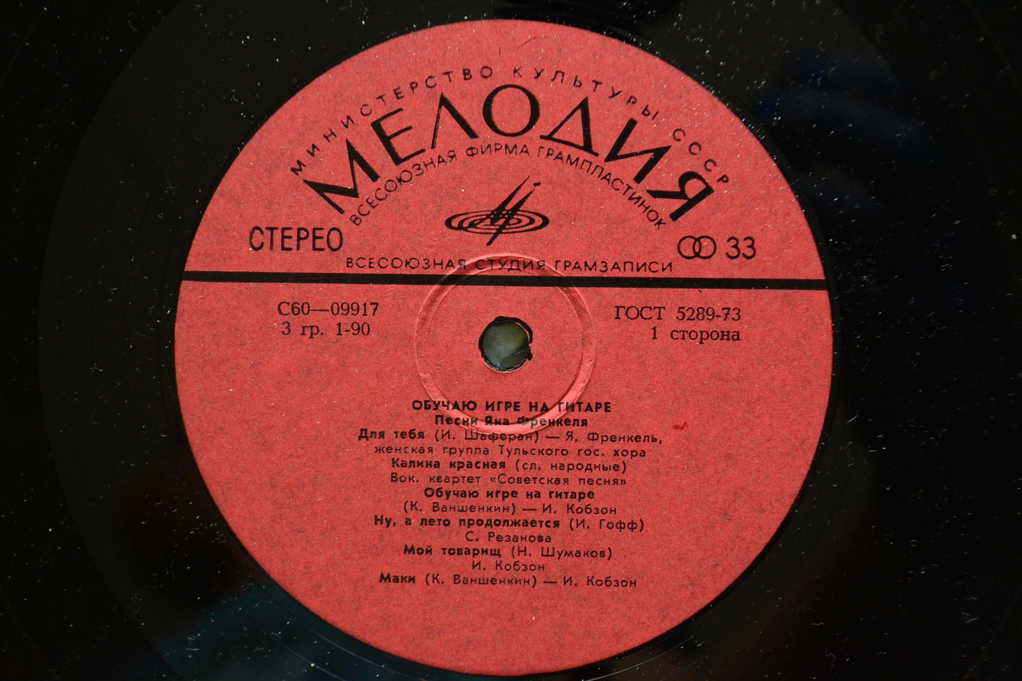 "Обучаю игре на гитаре". Песни Яна Френкеля