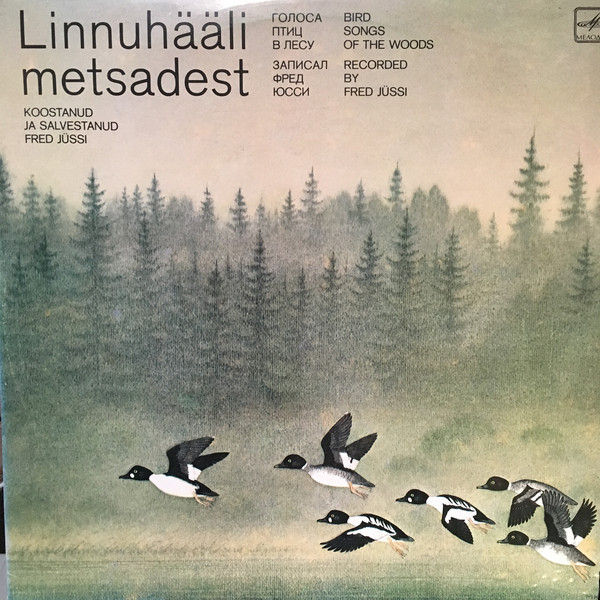 Голоса птиц в лесу (I)