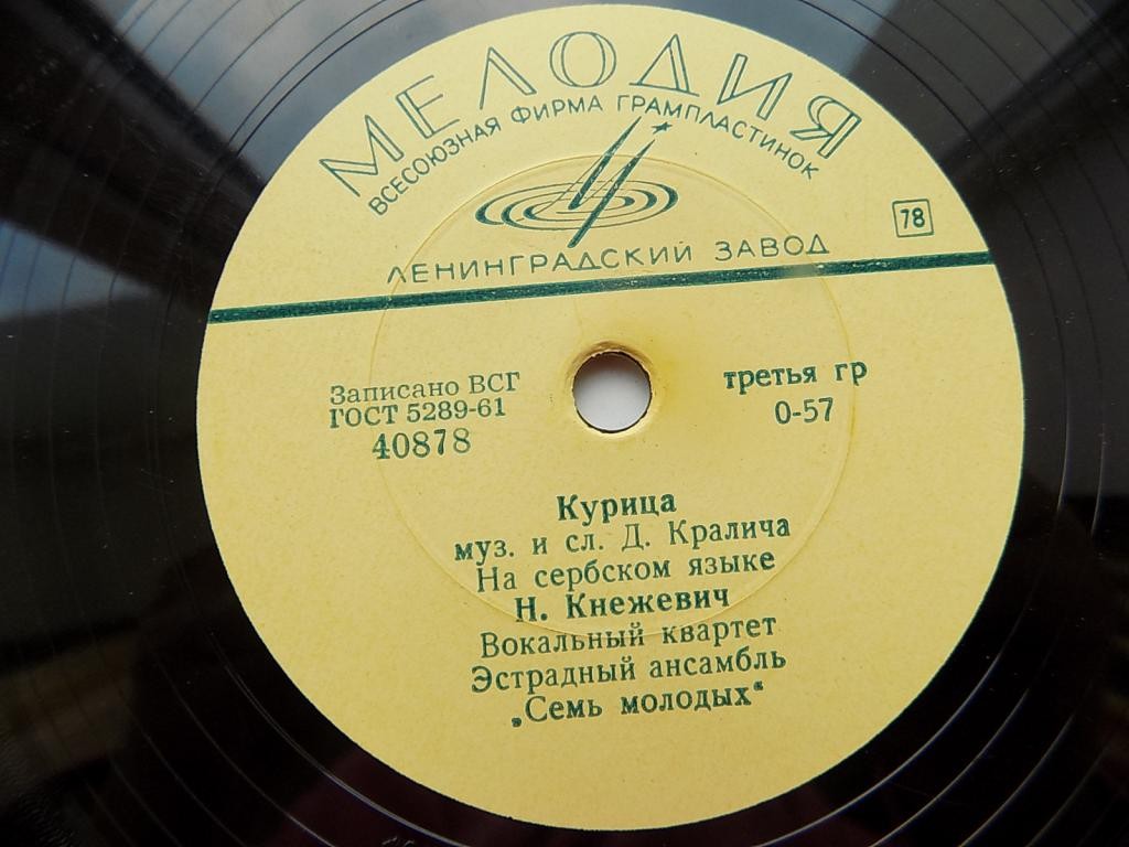 Н. Кнежевич - Фатима / Курица