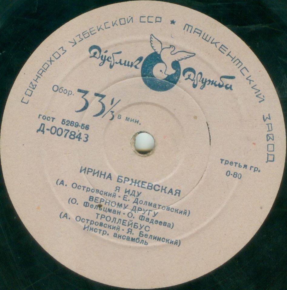 Ирина Бржевская