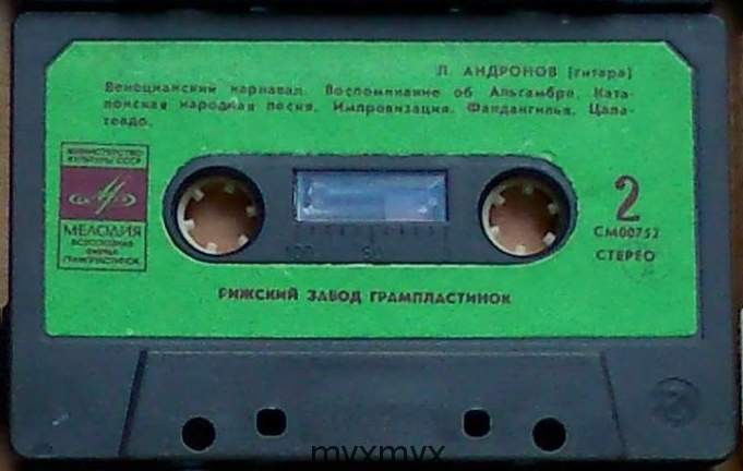 Лев Андронов‎, гитара