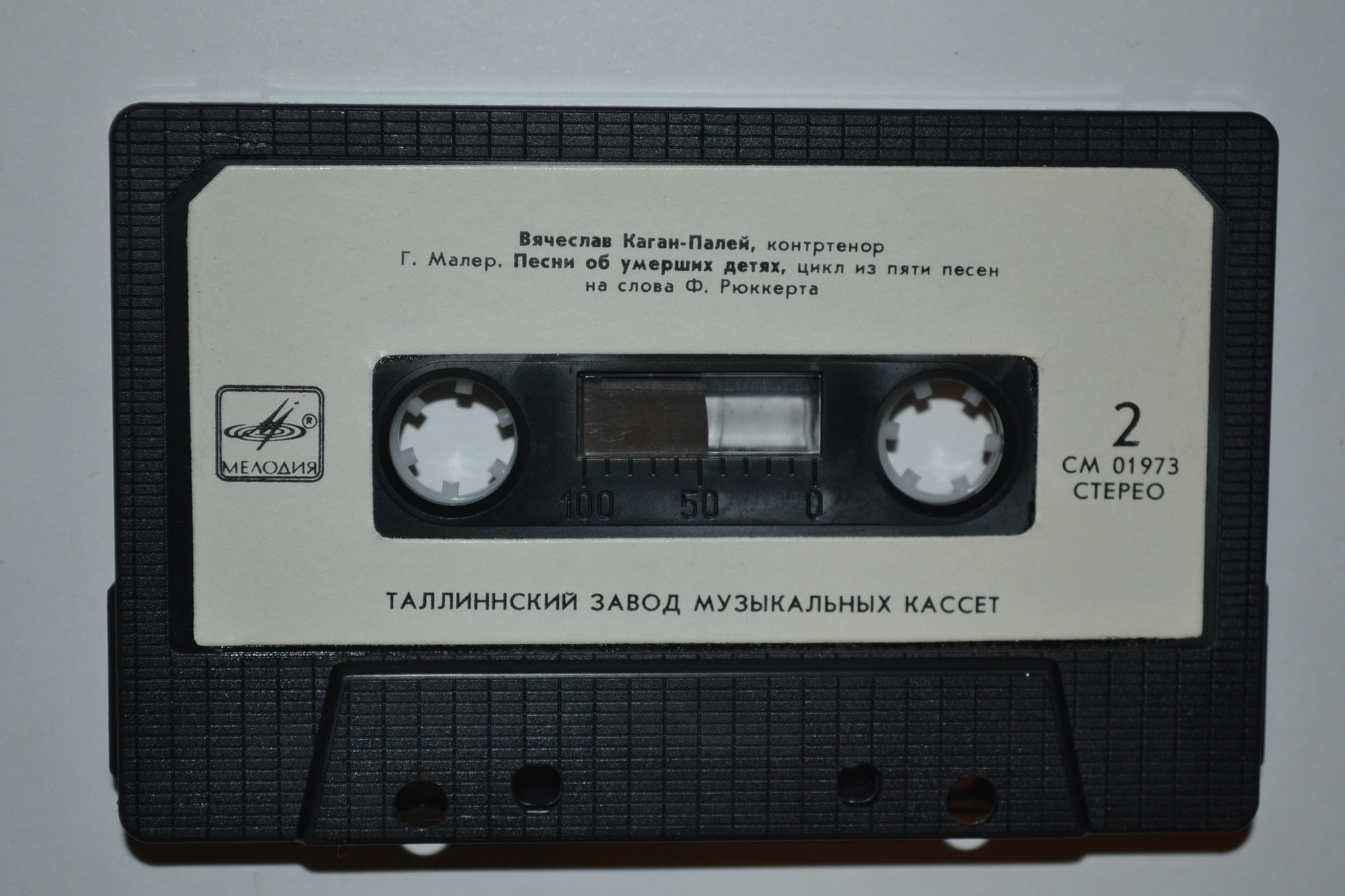 Вячеслав Каган-Палей, контртенор