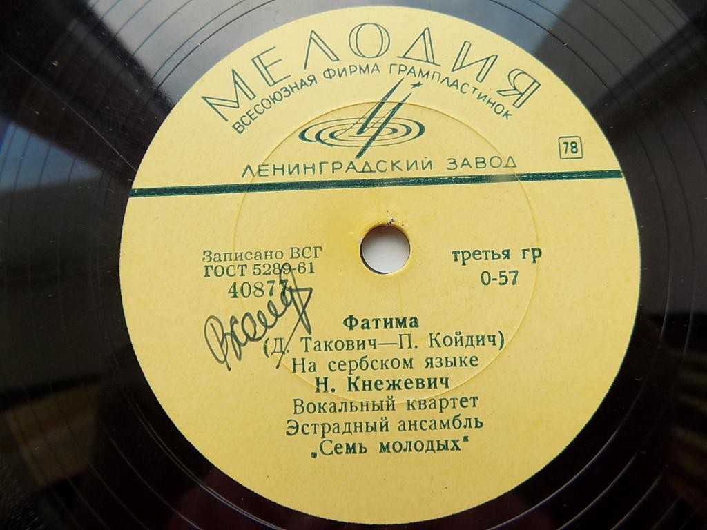 Н. Кнежевич - Фатима / Курица