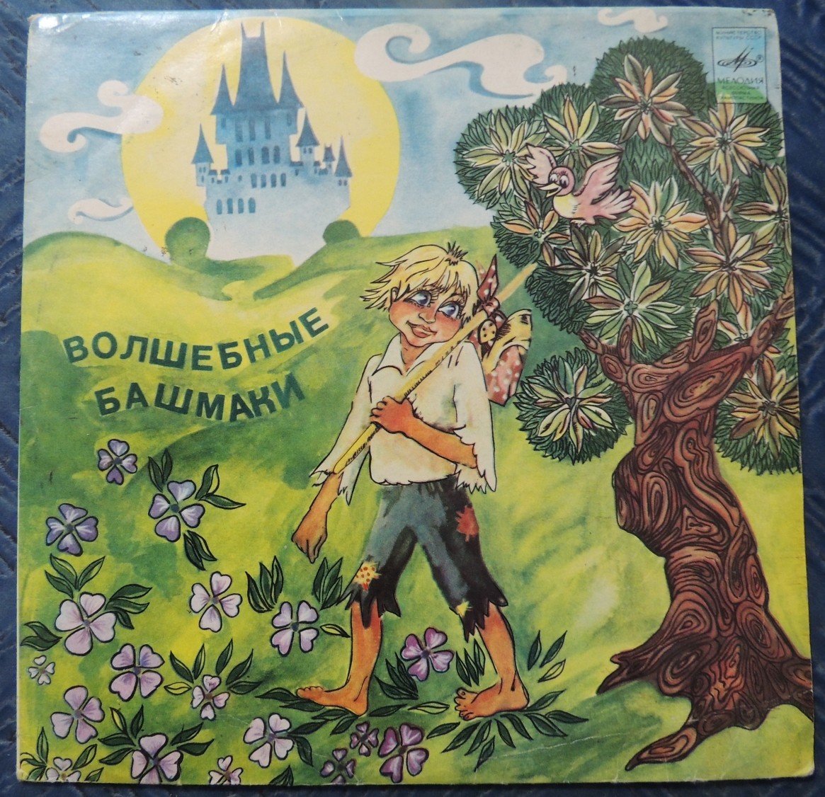 Волшебные башмаки