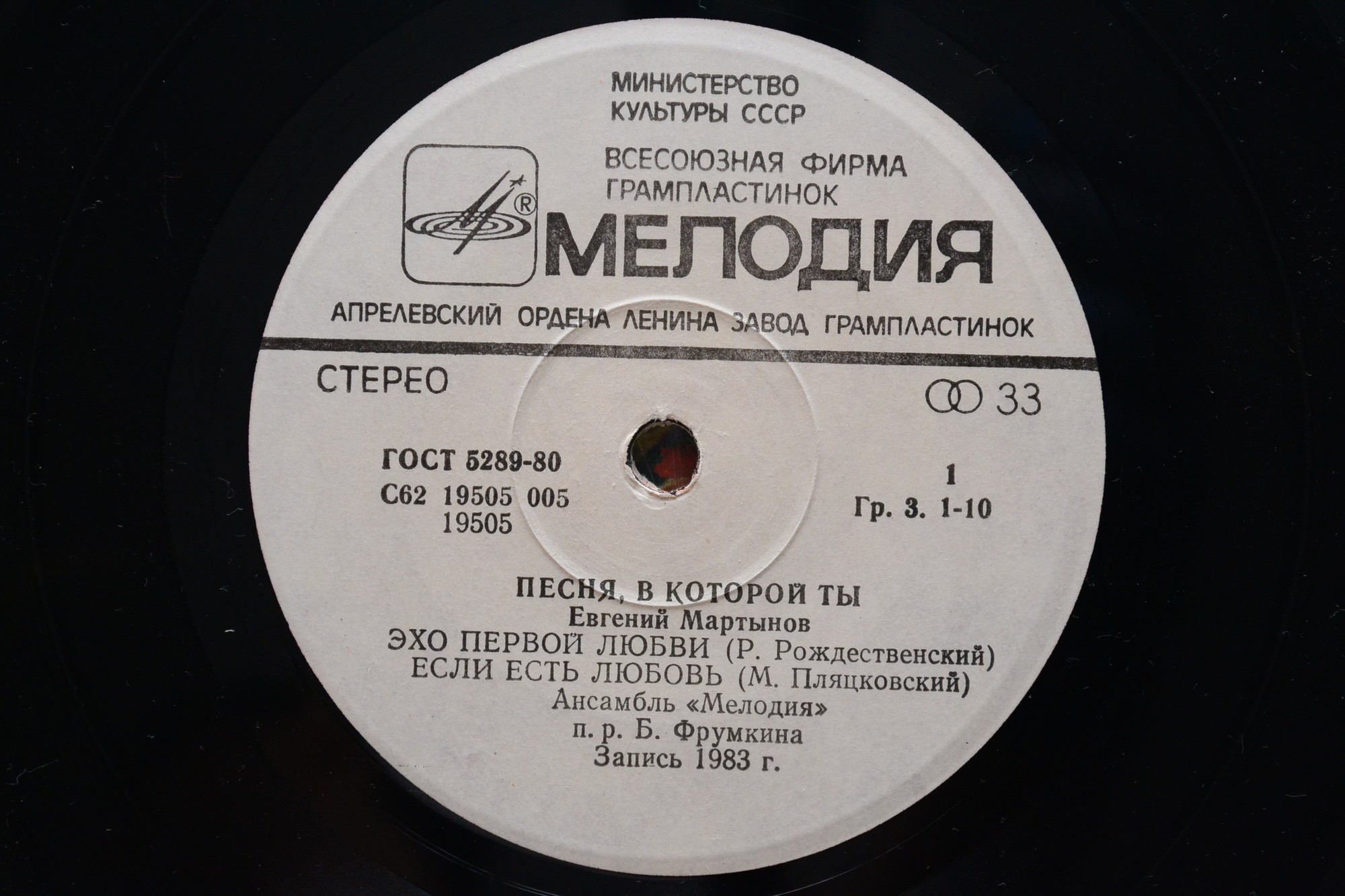 МАРТЫНОВ Евгений. «Песня, в которой ты»