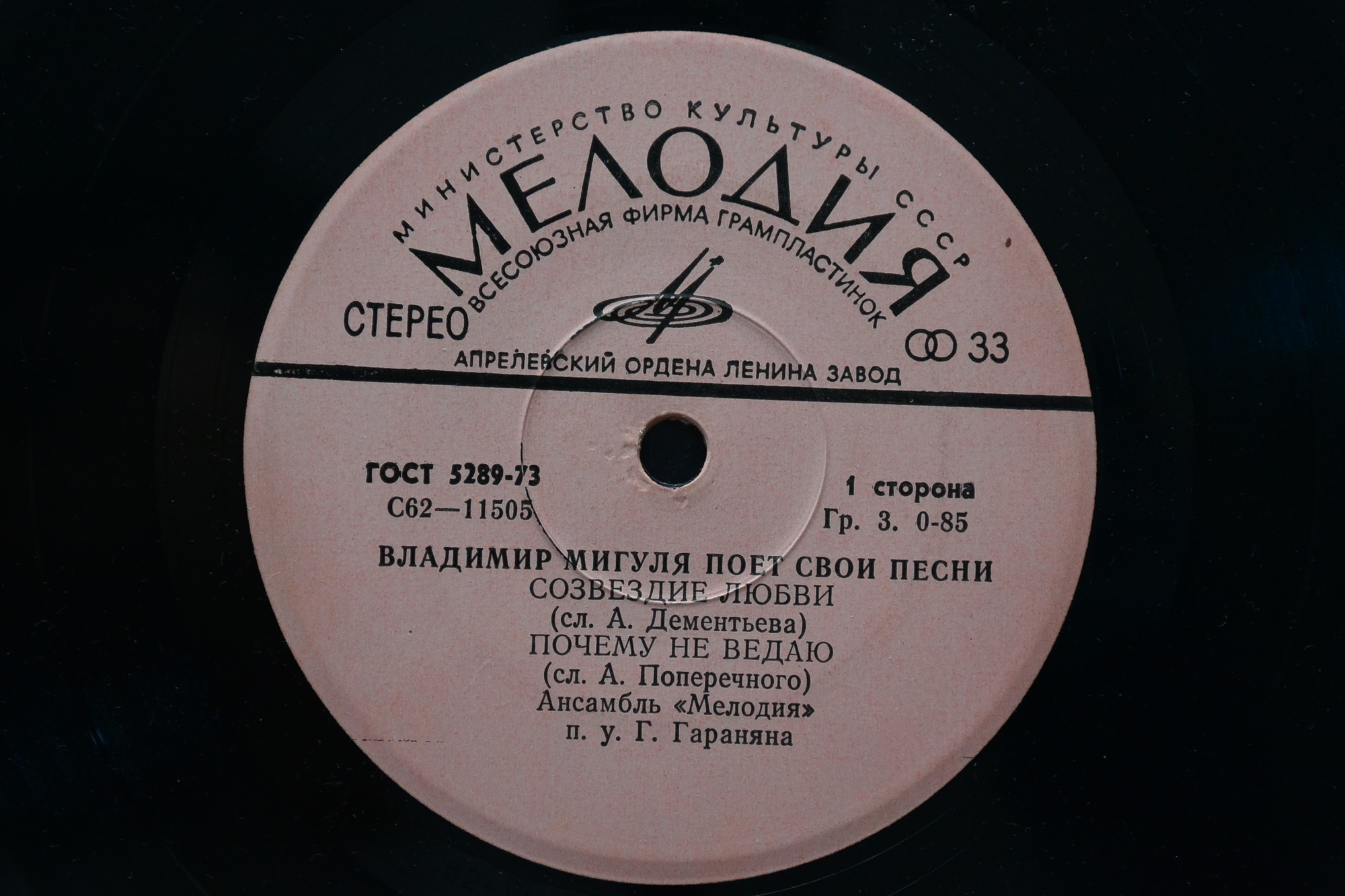 Владимир Мигуля поёт свои песни