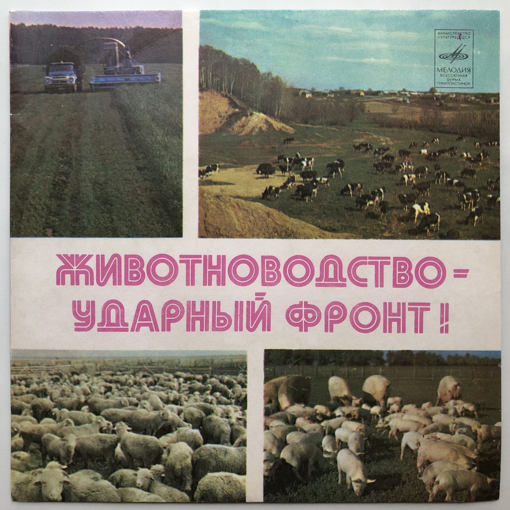 Животноводство – ударный фронт!