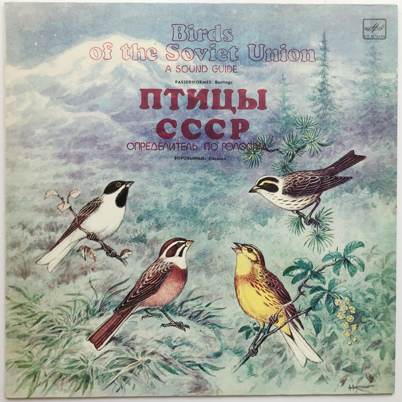 ПТИЦЫ СССР. Определитель по голосам (подготовлен Б. Вепринцевым).