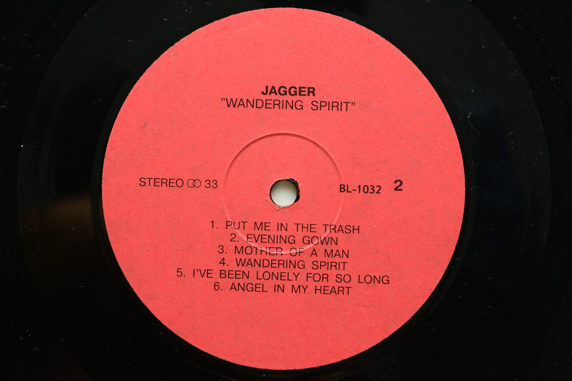 Mick Jagger. Wandering Spirit