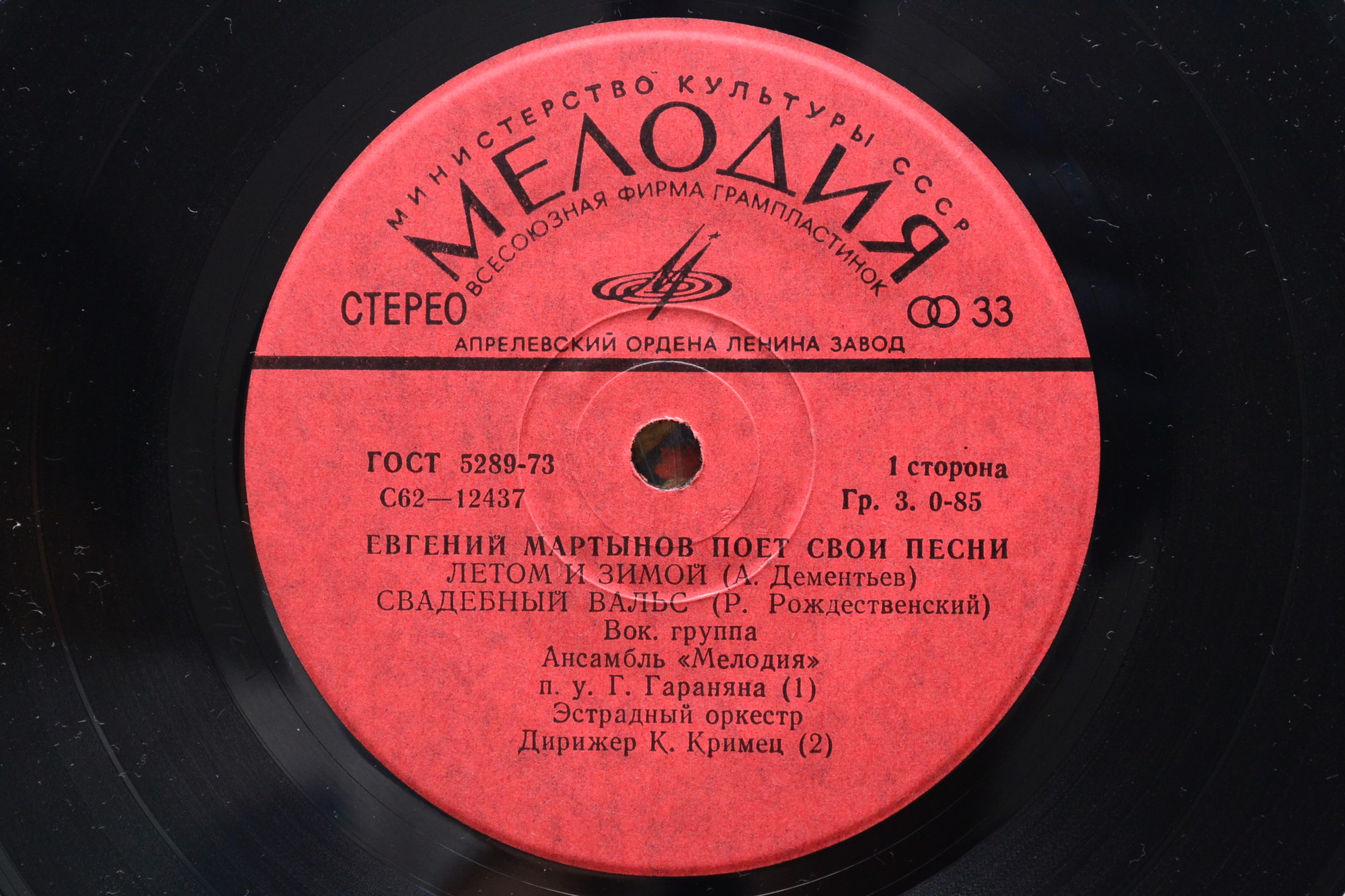 Евгений МАРТЫНОВ поет свои песни