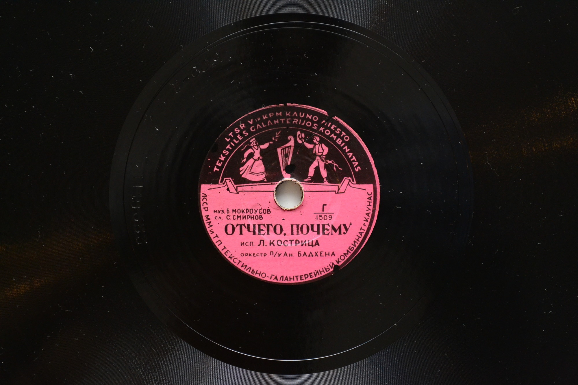 Л. Кострица - Отчего, почему?... / Помнишь, мама