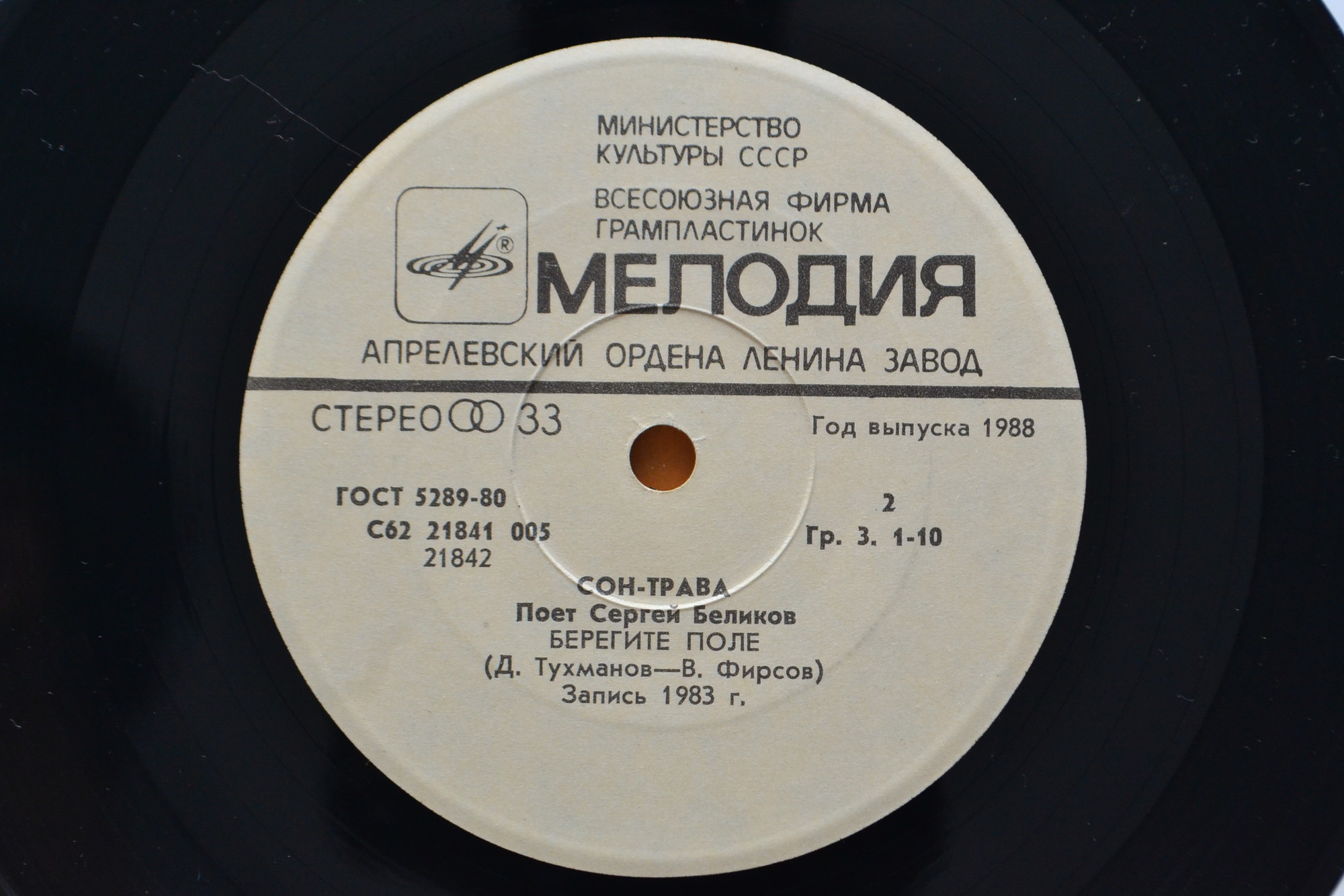 Поет Сергей Беликов. Сон-трава