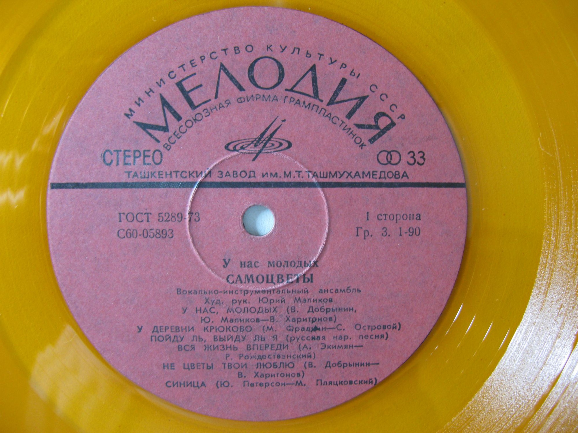 ВИА «Самоцветы». У нас, молодых